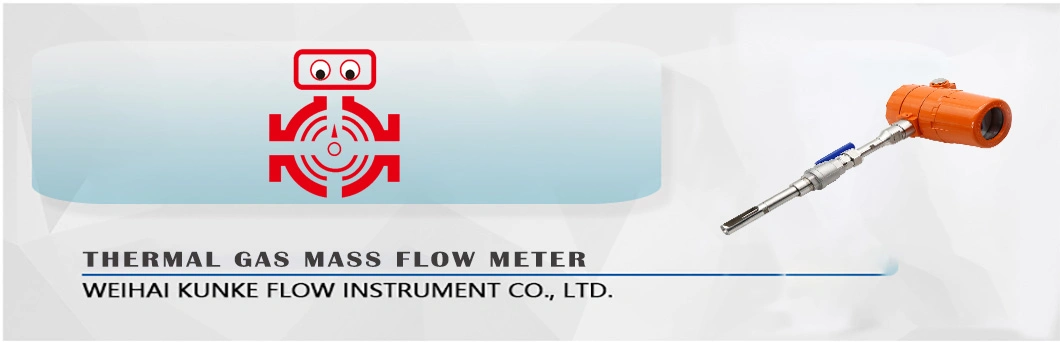 Compressed Air Thermal Gas Mass Flow Meter 304ss Surface Body High Temperature Probe Can Measure High Temperature Gas