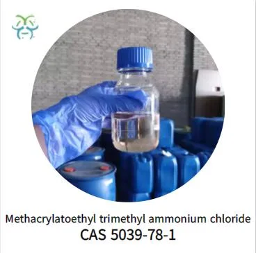 Factory Supply Methacryloyloxyethyl Trimethyl Ammonium Chloride CAS 5039-78-1 with Best Price